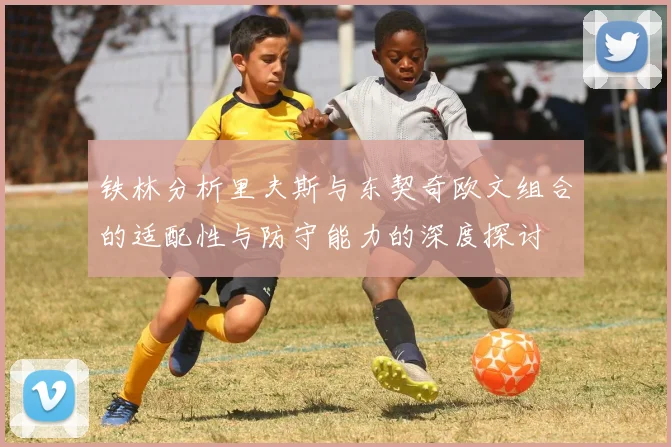 铁林分析里夫斯与东契奇欧文组合的适配性与防守能力的深度探讨