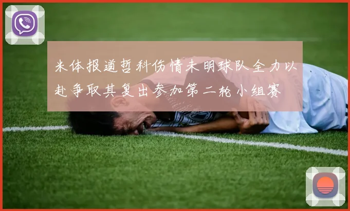 米体报道哲科伤情未明球队全力以赴争取其复出参加第二轮小组赛